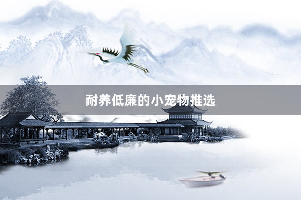耐养低廉的小宠物推选