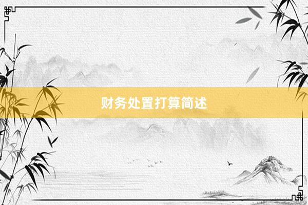 财务处置打算简述